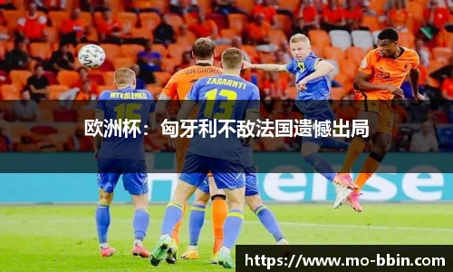 欧洲杯：匈牙利不敌法国遗憾出局